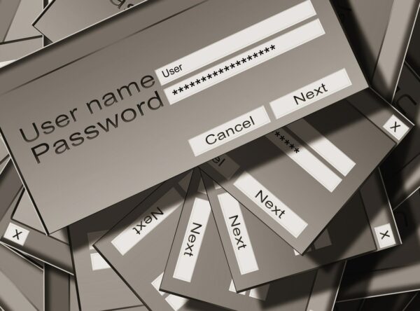 How do password managers work?